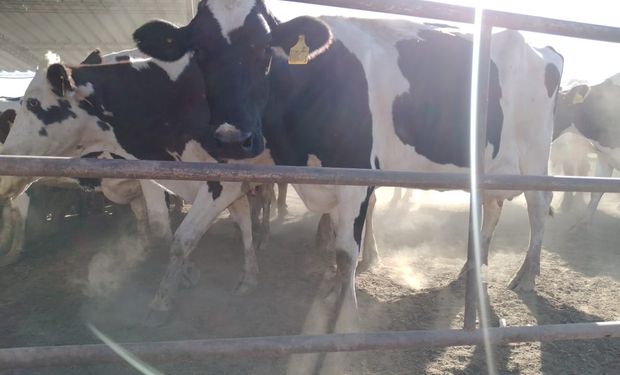 Productores analizaron a fondo el pago por la calidad de leche