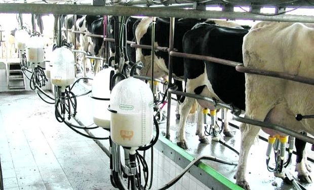 Casamiquela recibiría a tamberos