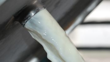 Mientras negocia la venta con Fonterra, SanCor mejora su producción