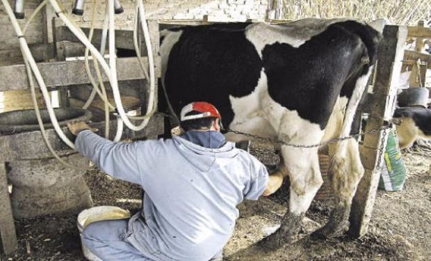 Tamberos de Córdoba y Santa Fe alertan por una "situación de absoluto quebranto para producir": piden reunión con Basterra