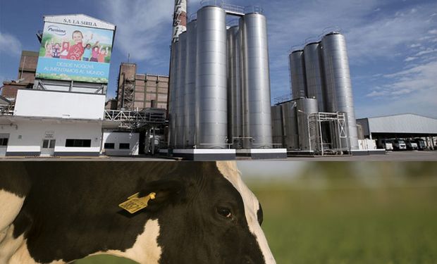 Son productores, compraron una planta de Nestlé y ahora tienen algo único en Sudamérica: “El mundo está necesitando leche y Argentina es uno de los países con mayor potencial"