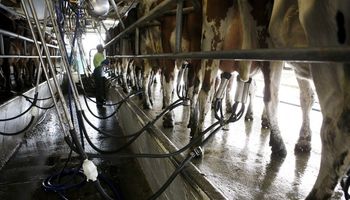 ¿Qué empresa lidera la baja de precios de la leche pagada a productores?