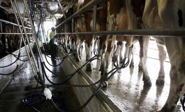 Mastellone Hnos lidera la baja de precios de la leche pagada a productores de la cuenca oeste.