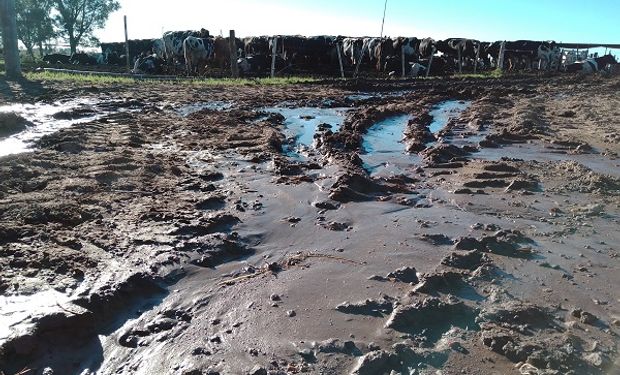 Baja el agua y aparece el reclamo: productores de Santa Fe reiteran el pedido de obras luego de estar inundados