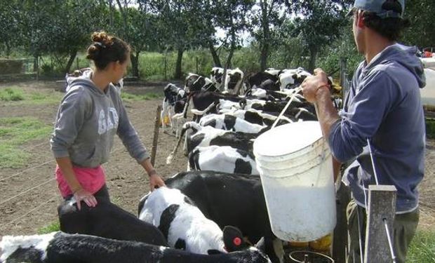 Ya comenzaron los descuentos tan temidos por los tamberos, muchos de los cuales trabajan por debajo de sus costos de producción.
