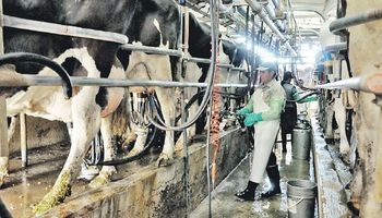 Créditos para la lechería: Buenos Aires anunció financiamiento para fortalecer la actividad