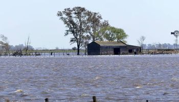 Emergencia agropecuaria: paso a paso para solicitar los beneficios ante ARCA