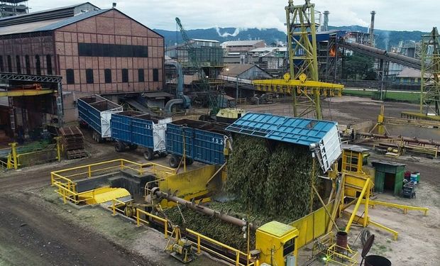 Azúcar: las exportaciones de Ledesma crecieron un 126 % 