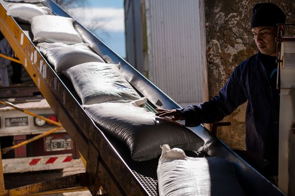 De un cultivo artesanal a una industria en expansi&oacute;n en Santa Fe
