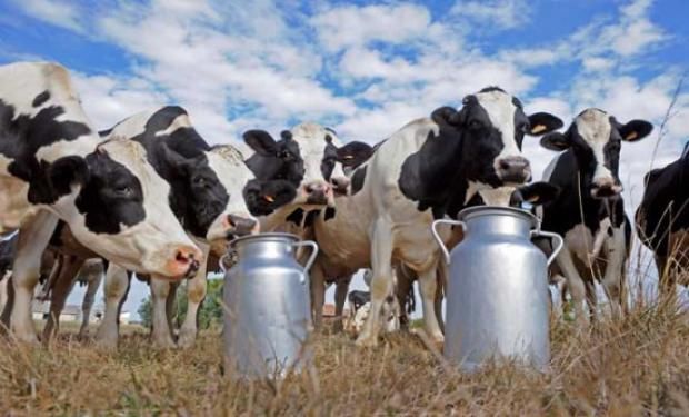 Temor en la industria láctea argentina por un pagadiós venezolano ante un eventual quiebre de relaciones bilaterales