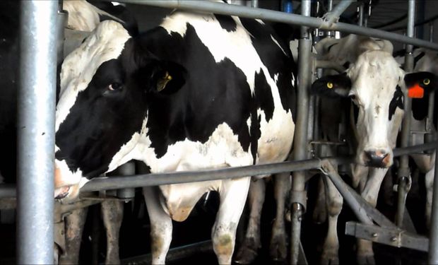 "La situación de muchos productores es desesperante"