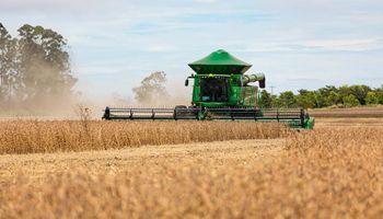 Lei de MT leva tradings a planejar saída da Moratória da Soja em 2026