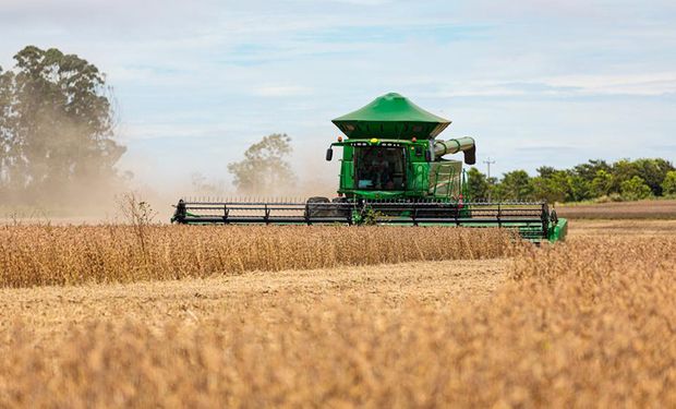 Lei de MT leva tradings a planejar saída da Moratória da Soja em 2026