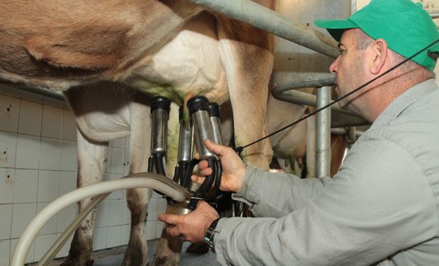 Preços globais de lácteos devem reagir em 2024, segundo pesquisadores. (Foto - Paulo Lanzetta/Embrapa)