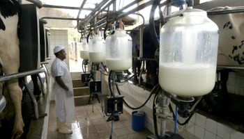 Governo institui Grupo de Trabalho para fortalecer a cadeia produtiva do leite