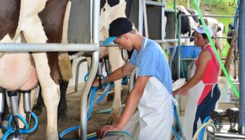 Preço do leite ao produtor tem nova valorização em março, aponta Cepea