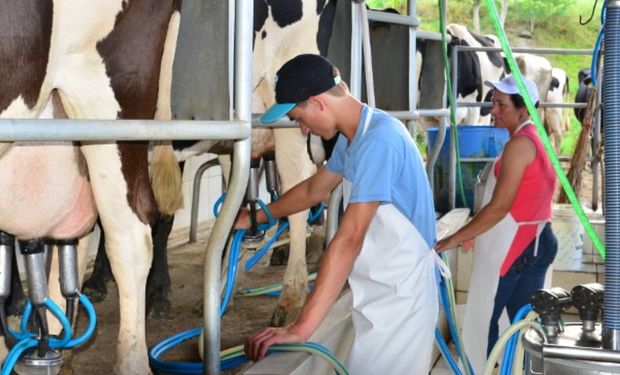 Preço do leite ao produtor tem nova valorização em março, aponta Cepea