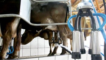 Estados do Sul fecham o cerco contra a importação de leite
