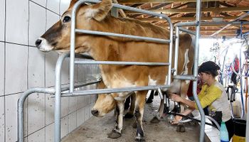 Mesmo com redução nos preços, Paraná tem bom cenário para produtores de leite