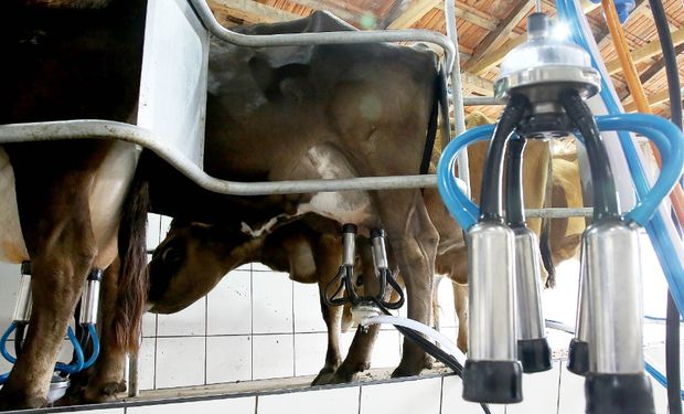 Paraná terá nova fábrica de leite em pó com investimento de mais de R$ 450 milhões