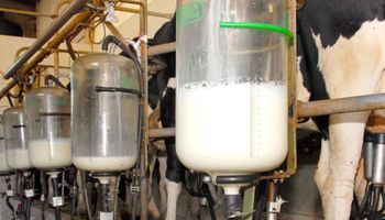 Projeto que obriga laticínios a informar preço do leite ao produtor avança na Câmara