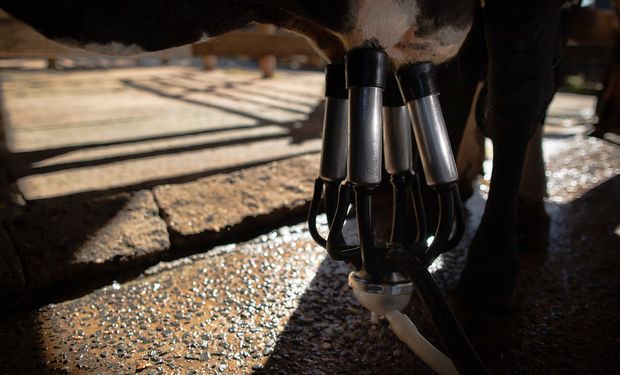 Com oferta limitada, preço do leite ao produtor avança 10%
