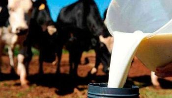 Mobilização nacional é convocada para pressionar governo federal contra importação de leite