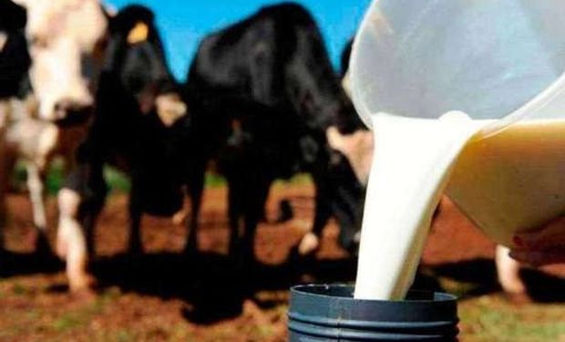 Mobilização nacional é convocada para pressionar governo federal contra importação de leite