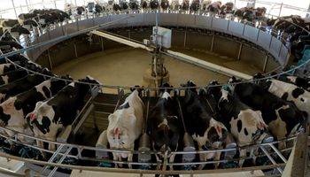 Governo inclui a linha emergencial para produtores de leite no Plano Safra 2023/2024