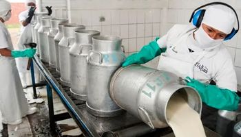 En medio de una posible rebaja de retenciones, pymes lácteas se sumaron al Consejo Agroindustrial
