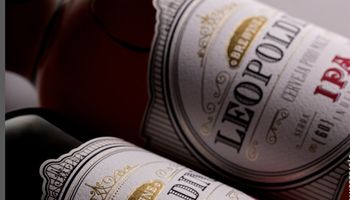 Do bar ao pódio: Cervejas brasileiras levam cinco ouros em concurso na Alemanha