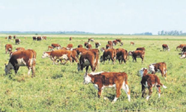 Advierten por cuadros de leptospirosis