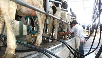 El reclamo de los tamberos por el “dólar leche” tendrá un encuentro cumbre en Rosario