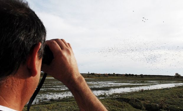 La Mesa de Enlace contra el proyecto de Ley de Humedales: "No hace falta otra ley de política ambiental"