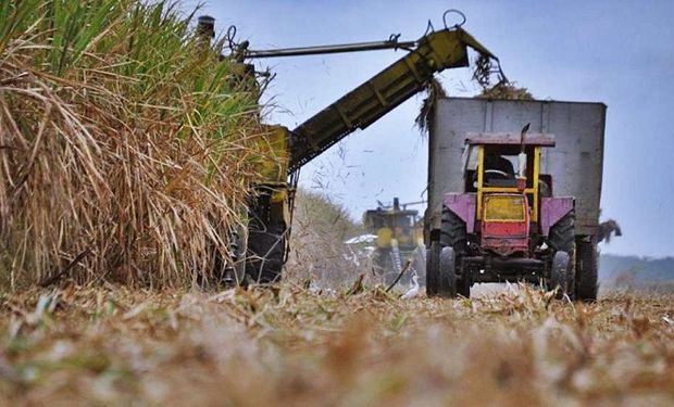 El Consejo Económico y Social de Salta reclamó por la prórroga de la Ley de Biocombustibles