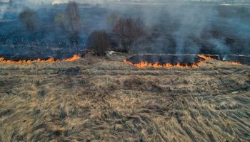 El Gobierno anunció cambios en la ley de fuego y avanza para habilitar más tierras a extranjeros