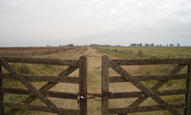 Modificación de la ley de tierras.