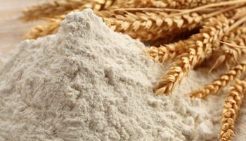 El Gobierno aumentó el precio de la harina que se vende a través del Fondo Estabilizador del Trigo