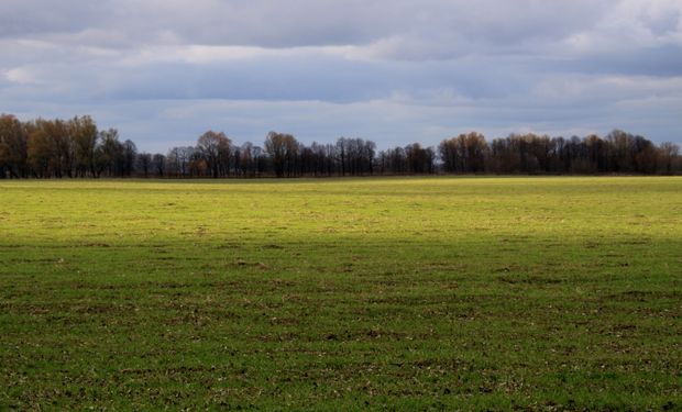 Prevén lluvias semanales y altas temperaturas