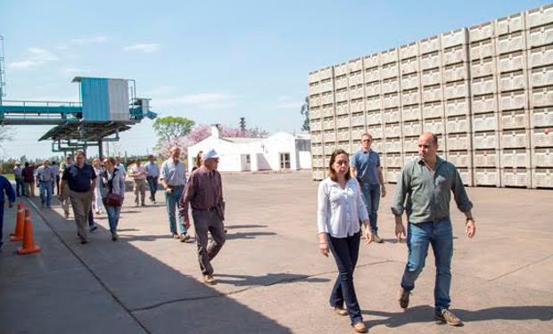 Dillon: "Estaremos en condiciones para la próxima campaña de exportar nuestro limón al mercado norteamericano".