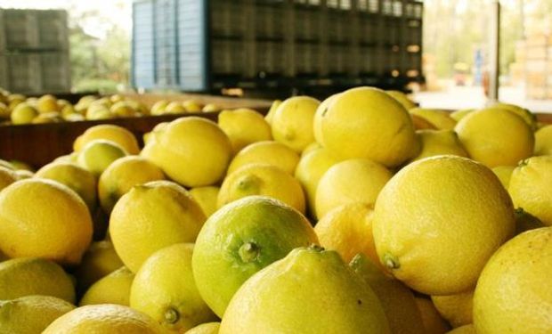 "Hay que esperar" dijo el presidente de la Asociación Tucumana del Citrus.