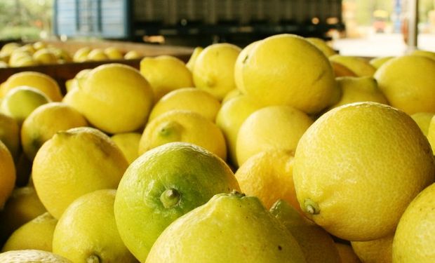 Reapertura de mercados internacionales.