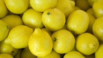 Productores de limones esperan la apertura de Estados Unidos