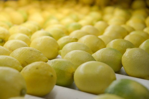 limones argentinos