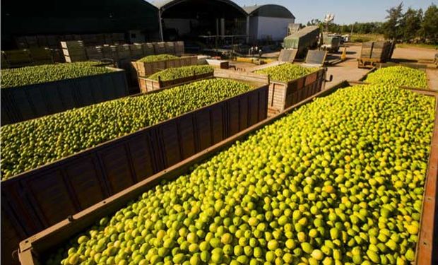 EE.UU., más cerca de permitir limones argentinos