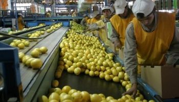 Crecerán todos los bloques a los que se exportan productos regionales