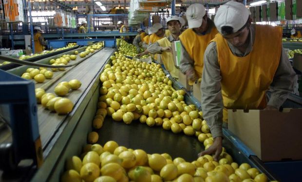 Dólar agro: se oficializó el listado de economías regionales que podrán exportar con un tipo de cambio a $ 300