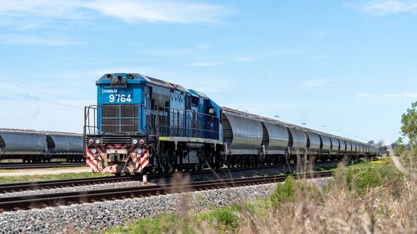 linea belgrano trenes