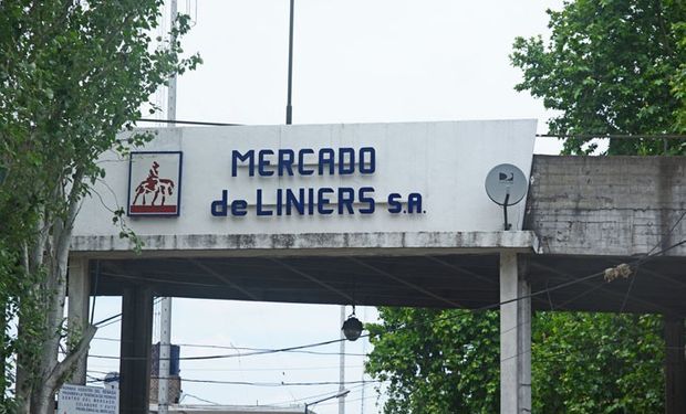 Capital Federal vota una nueva prórroga del traslado del Mercado de Liniers a Cañuelas