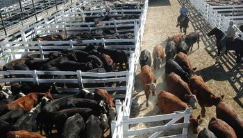 Postura selectiva y precios a la baja en Liniers